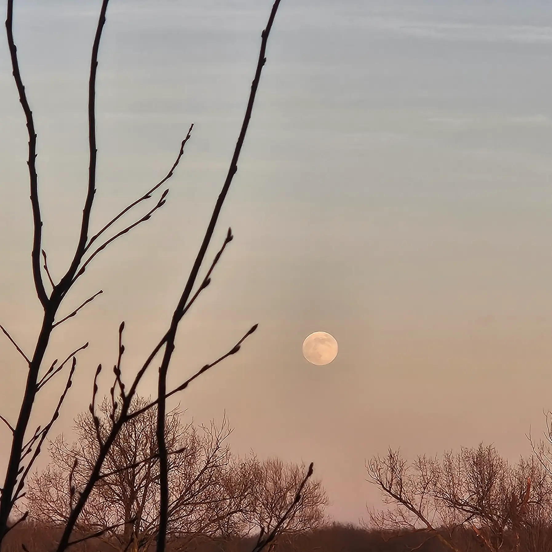 This is a picture I took of the evening moon when the sun went under. 
